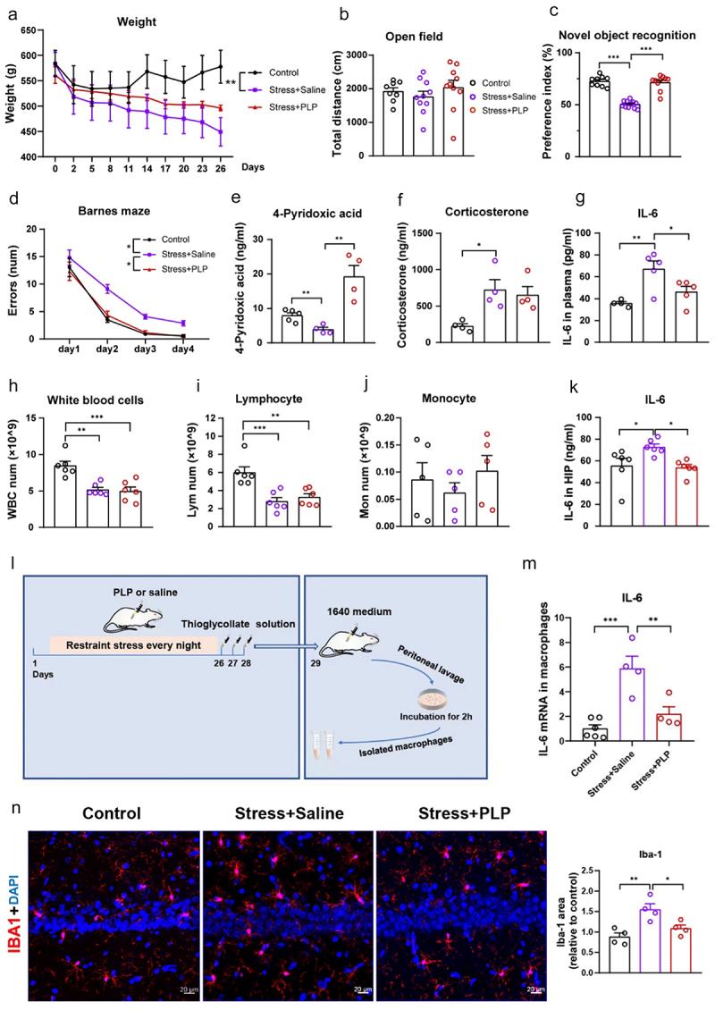 https://cdn.ncbi.nlm.nih.gov/pmc/blobs/7e32/11730634/6cef69a5bceb/KGMI_A_2447824_F0006_OC.jpg