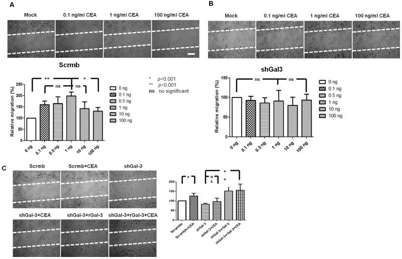 https://cdn.ncbi.nlm.nih.gov/pmc/blobs/7e32/5617476/84a50d5c2036/oncotarget-08-61935-g003.jpg