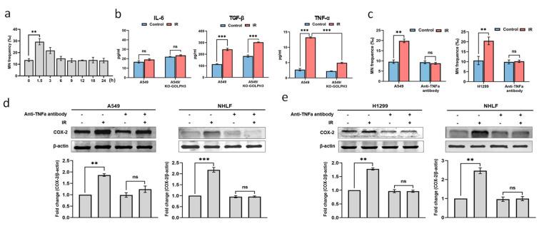 https://cdn.ncbi.nlm.nih.gov/pmc/blobs/7e32/9686538/cb2777c1f83e/antioxidants-11-02172-g003.jpg
