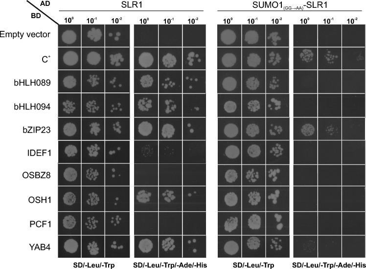 https://cdn.ncbi.nlm.nih.gov/pmc/blobs/7e33/11549141/89ca227e21ba/425_2024_4565_Fig5_HTML.jpg