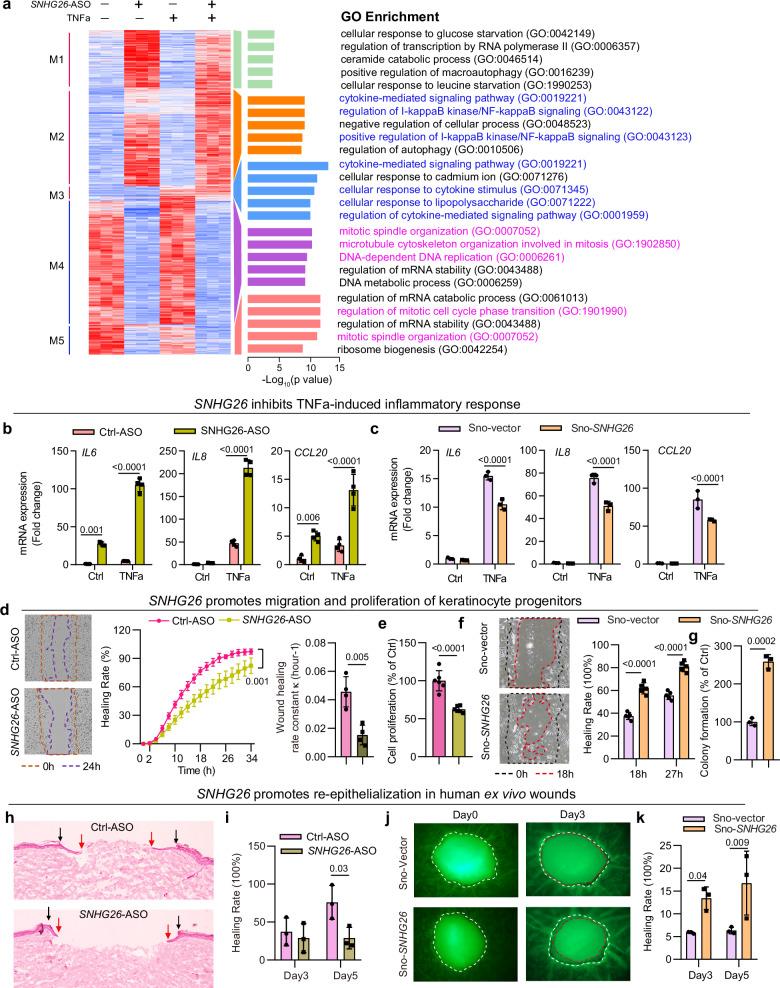 https://cdn.ncbi.nlm.nih.gov/pmc/blobs/7e35/11452505/2ced642e86a7/41467_2024_52783_Fig4_HTML.jpg