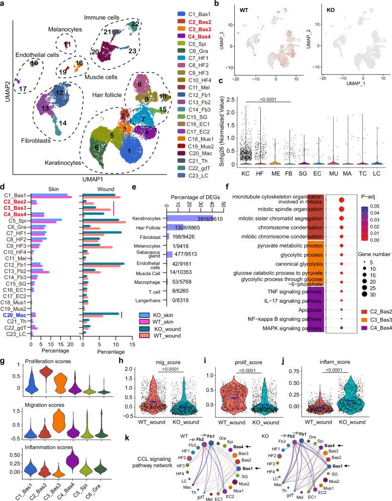 https://cdn.ncbi.nlm.nih.gov/pmc/blobs/7e35/11452505/6f68d3d09b79/41467_2024_52783_Fig3_HTML.jpg