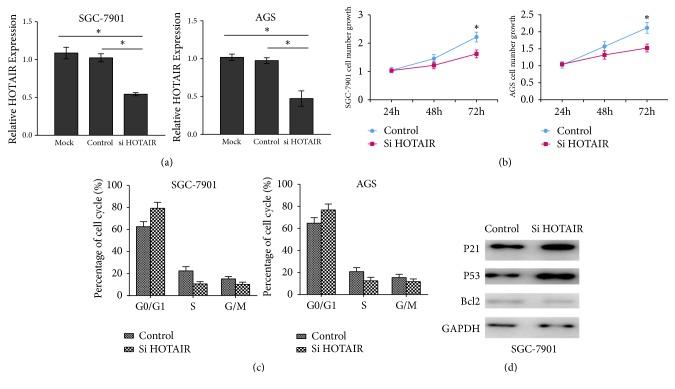 https://cdn.ncbi.nlm.nih.gov/pmc/blobs/7e36/6590613/9ffc5be58461/CJGH2019-3076345.003.jpg
