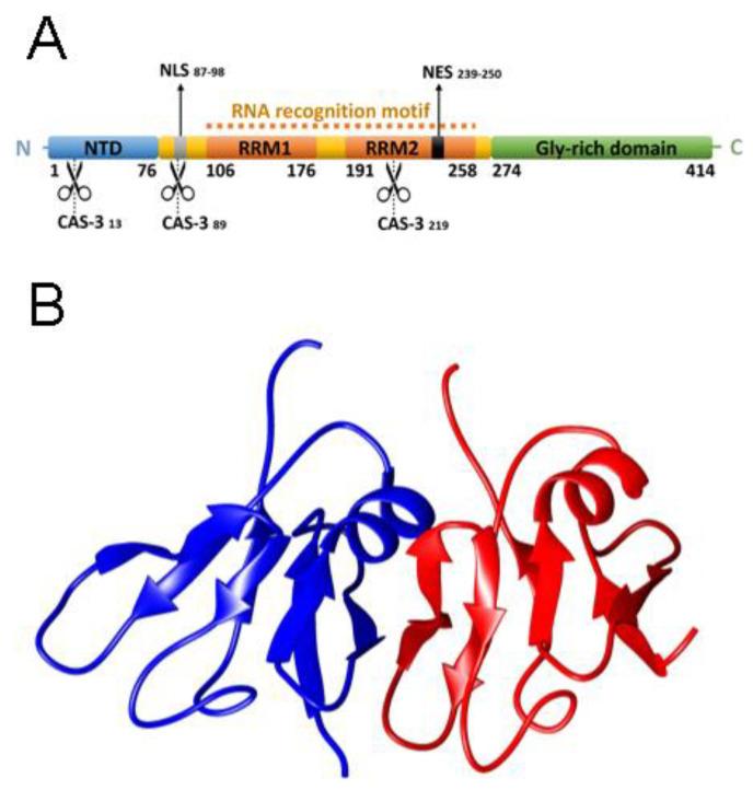 https://cdn.ncbi.nlm.nih.gov/pmc/blobs/7e38/7504384/aa44d8ba5930/ijms-21-06259-g001.jpg