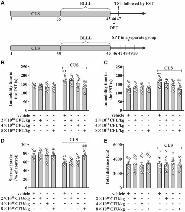 https://cdn.ncbi.nlm.nih.gov/pmc/blobs/7e3a/11310130/730aa4e559ad/fphar-15-1398292-g001.jpg
