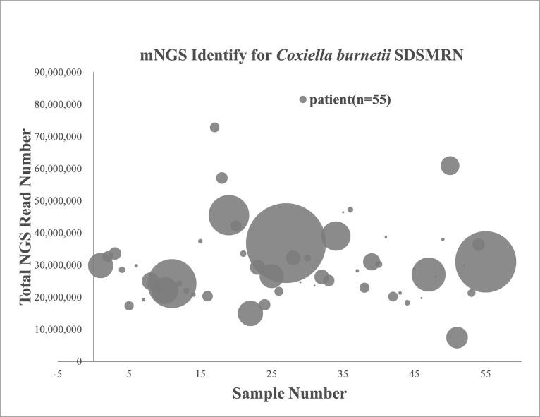 https://cdn.ncbi.nlm.nih.gov/pmc/blobs/7e3a/8282036/45c45e15e7db/pntd.0009520.g002.jpg