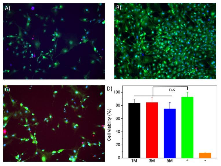 https://cdn.ncbi.nlm.nih.gov/pmc/blobs/7e3b/8839485/265465609f38/polymers-14-00650-g007.jpg