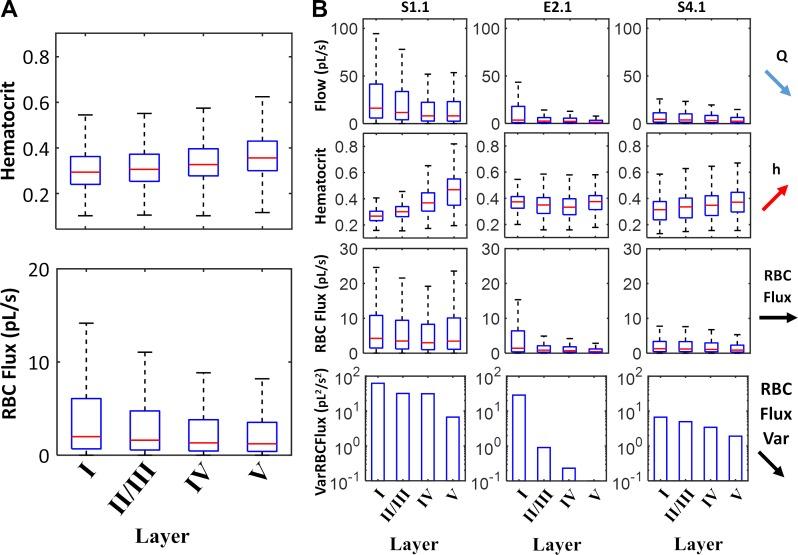 https://cdn.ncbi.nlm.nih.gov/pmc/blobs/7e3c/6277127/5d57a9cbecc1/pcbi.1006549.g004.jpg