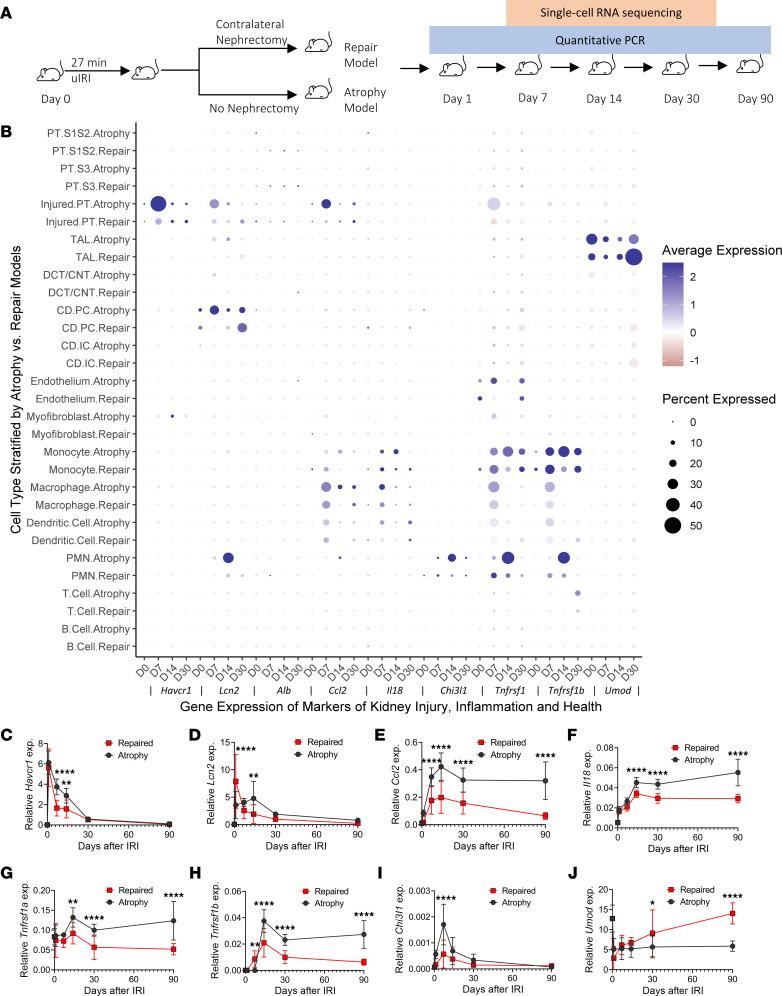 https://cdn.ncbi.nlm.nih.gov/pmc/blobs/7e3d/10243801/9ec0d4b6a3f1/jciinsight-8-167731-g149.jpg
