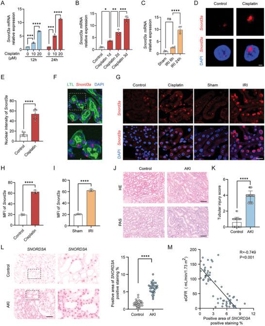 https://cdn.ncbi.nlm.nih.gov/pmc/blobs/7e3d/11434033/7ae3d570bb36/ADVS-11-2400305-g003.jpg