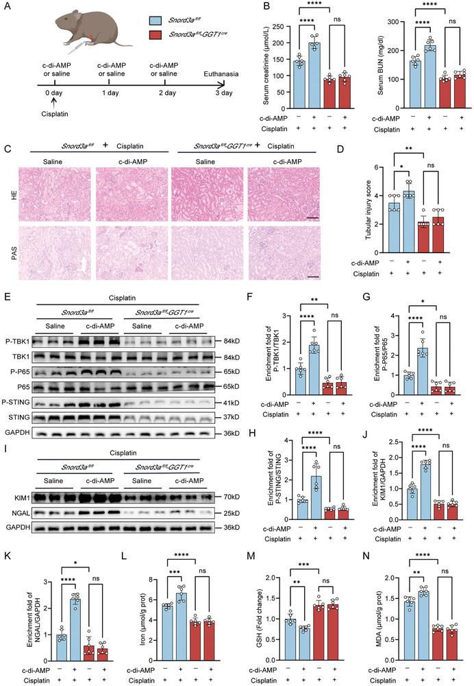 https://cdn.ncbi.nlm.nih.gov/pmc/blobs/7e3d/11434033/a5de06a9671f/ADVS-11-2400305-g001.jpg