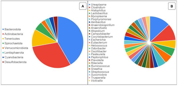 https://cdn.ncbi.nlm.nih.gov/pmc/blobs/7e3e/11240322/36711d54e6d6/animals-14-01971-g001.jpg