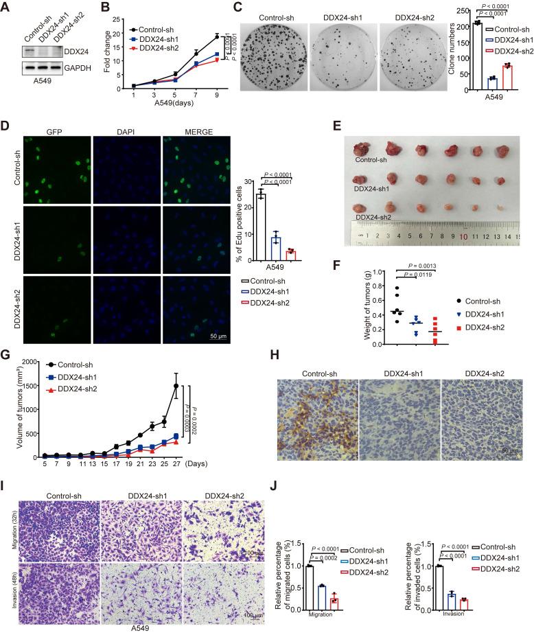 https://cdn.ncbi.nlm.nih.gov/pmc/blobs/7e3e/11780526/65c0f8b91a3a/thnov15p1879g002.jpg