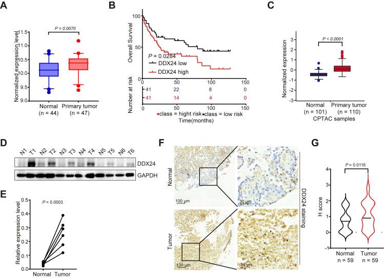 https://cdn.ncbi.nlm.nih.gov/pmc/blobs/7e3e/11780526/67e45d02bda2/thnov15p1879g001.jpg