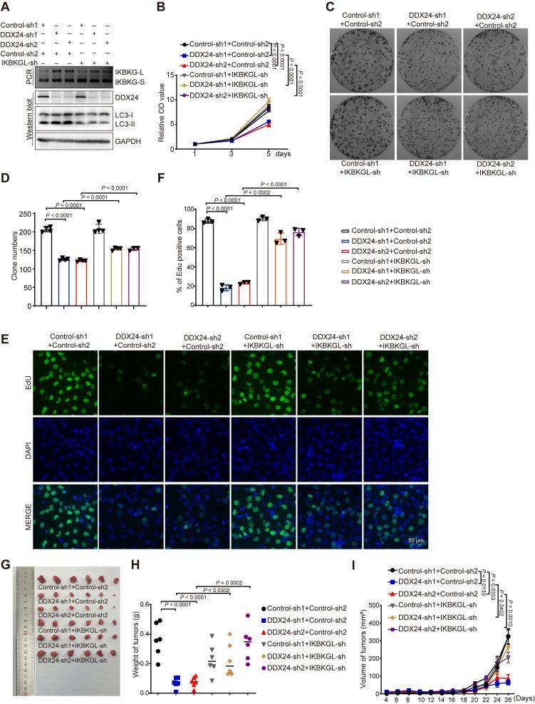 https://cdn.ncbi.nlm.nih.gov/pmc/blobs/7e3e/11780526/97b1c1eb91ff/thnov15p1879g006.jpg