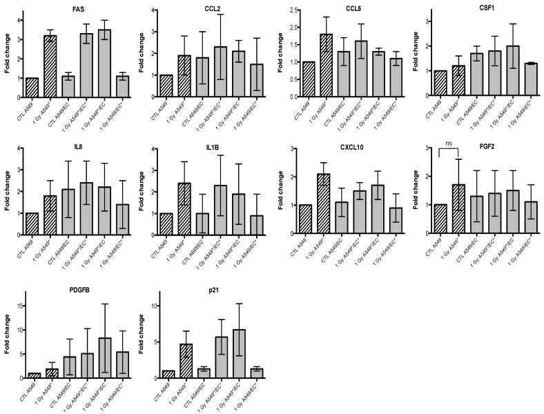 https://cdn.ncbi.nlm.nih.gov/pmc/blobs/7e3e/4381270/83dbb27c0b6b/cancers-07-00481-g003.jpg