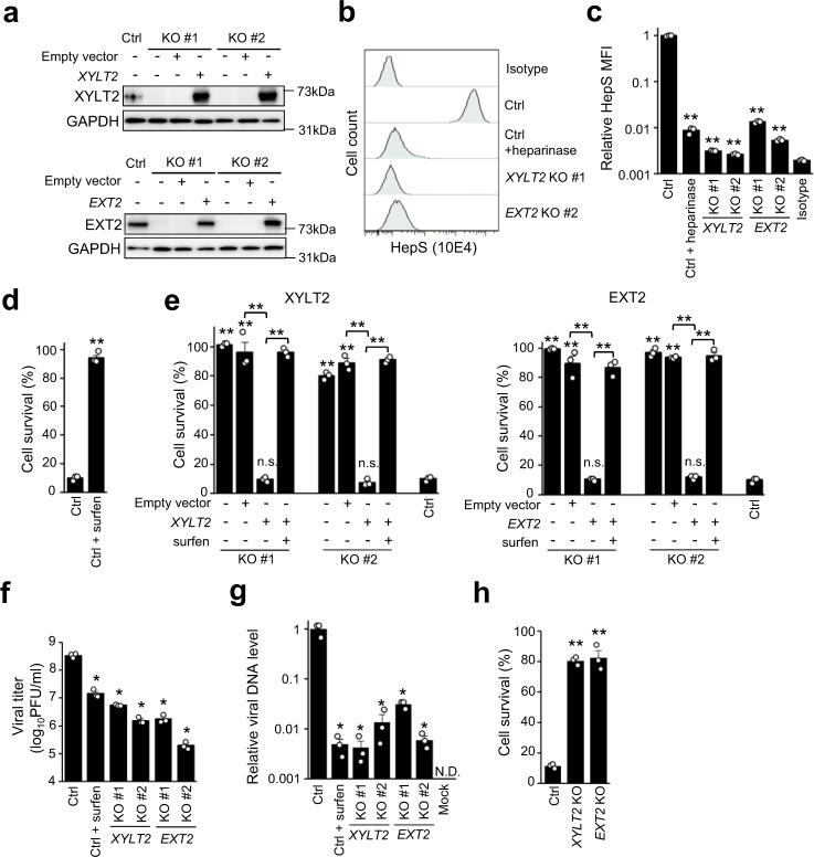 https://cdn.ncbi.nlm.nih.gov/pmc/blobs/7e3e/9296583/a093b99ed705/42003_2022_3581_Fig2_HTML.jpg
