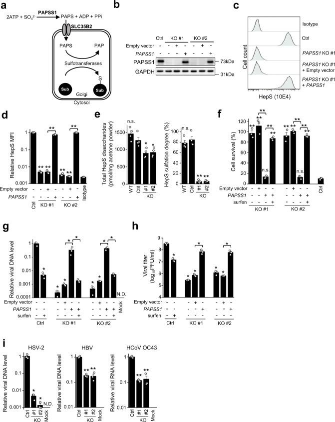 https://cdn.ncbi.nlm.nih.gov/pmc/blobs/7e3e/9296583/b9b714eff995/42003_2022_3581_Fig4_HTML.jpg