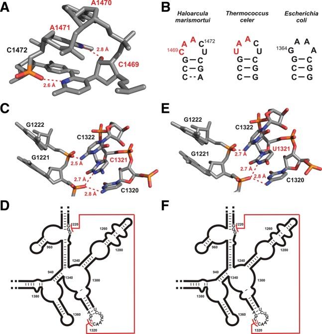 https://cdn.ncbi.nlm.nih.gov/pmc/blobs/7e40/4105743/7a283c663e6e/1163f04.jpg