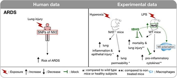 https://cdn.ncbi.nlm.nih.gov/pmc/blobs/7e40/8511424/a201d457e721/fphys-12-727806-g001.jpg