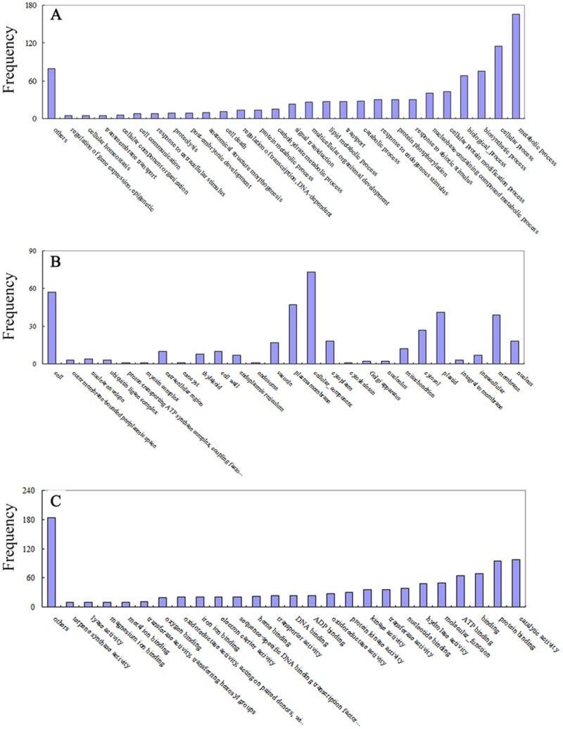 https://cdn.ncbi.nlm.nih.gov/pmc/blobs/7e41/4257594/8da163096da4/pone.0114313.g007.jpg