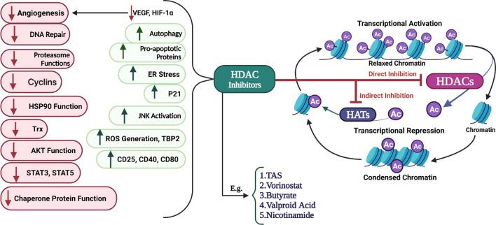 https://cdn.ncbi.nlm.nih.gov/pmc/blobs/7e41/9555085/b4bf0948b2ee/12935_2022_2738_Fig1_HTML.jpg