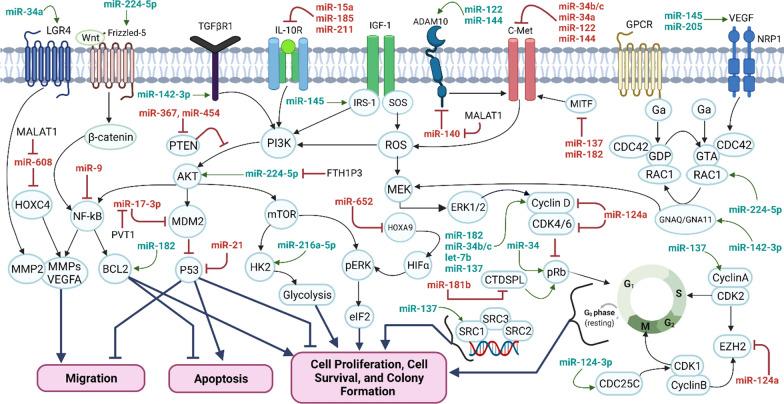 https://cdn.ncbi.nlm.nih.gov/pmc/blobs/7e41/9555085/e4c02e61ecc5/12935_2022_2738_Fig3_HTML.jpg