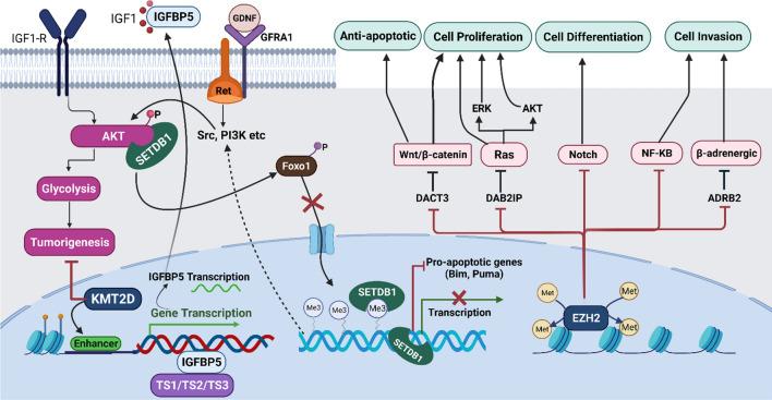 https://cdn.ncbi.nlm.nih.gov/pmc/blobs/7e41/9555085/ee0b61c17c8e/12935_2022_2738_Fig2_HTML.jpg