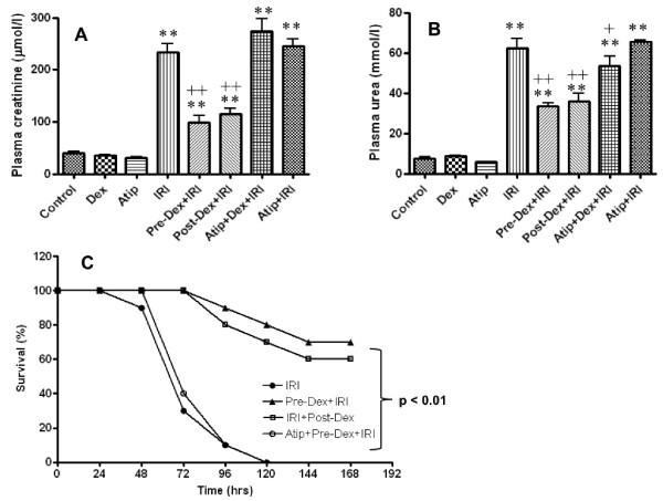 https://cdn.ncbi.nlm.nih.gov/pmc/blobs/7e42/3219027/06877ca8d8e0/cc10283-7.jpg