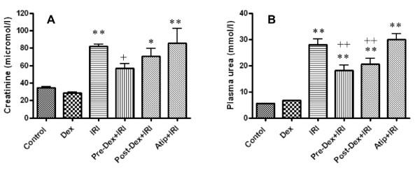 https://cdn.ncbi.nlm.nih.gov/pmc/blobs/7e42/3219027/6ea2d9a93a0e/cc10283-5.jpg