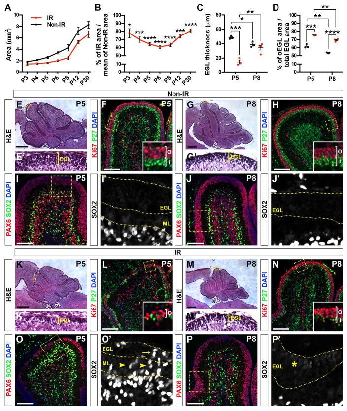 https://cdn.ncbi.nlm.nih.gov/pmc/blobs/7e45/5614835/22a85f51b3fd/nihms894381f2.jpg