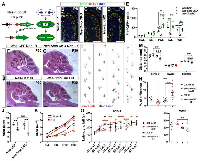 https://cdn.ncbi.nlm.nih.gov/pmc/blobs/7e45/5614835/b790e5a13d8f/nihms894381f6.jpg