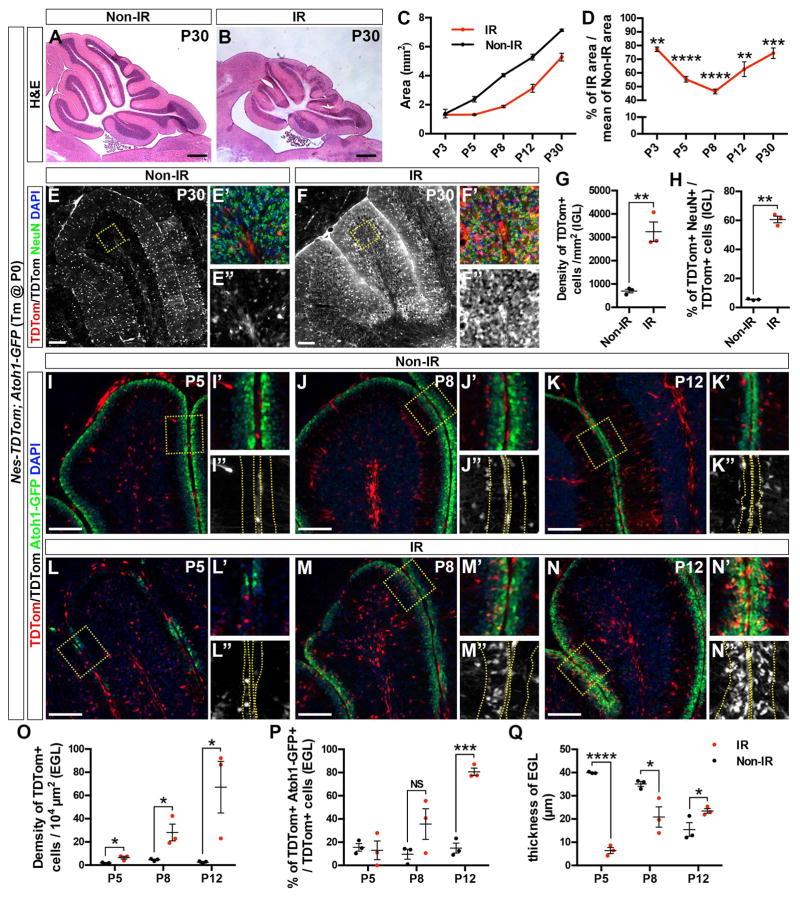 https://cdn.ncbi.nlm.nih.gov/pmc/blobs/7e45/5614835/d0af69097012/nihms894381f3.jpg