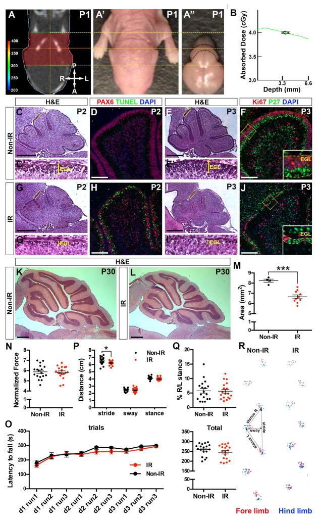 https://cdn.ncbi.nlm.nih.gov/pmc/blobs/7e45/5614835/f2777c9f8b28/nihms894381f1.jpg