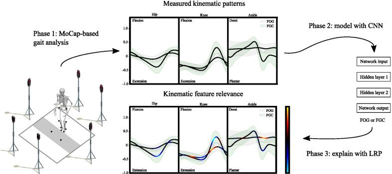 https://cdn.ncbi.nlm.nih.gov/pmc/blobs/7e46/8650332/2769710ceb7e/12911_2021_1699_Fig1_HTML.jpg