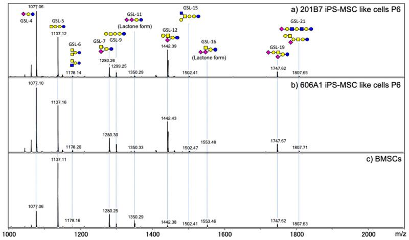 https://cdn.ncbi.nlm.nih.gov/pmc/blobs/7e48/7760376/d8dd974bf6e4/biomolecules-10-01622-g003.jpg