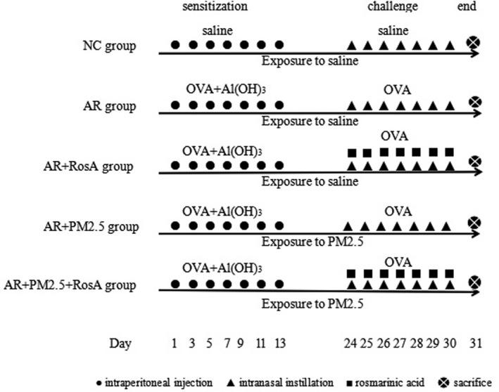 https://cdn.ncbi.nlm.nih.gov/pmc/blobs/7e49/8993598/fc6c84f5f643/JCLA-36-e24316-g004.jpg