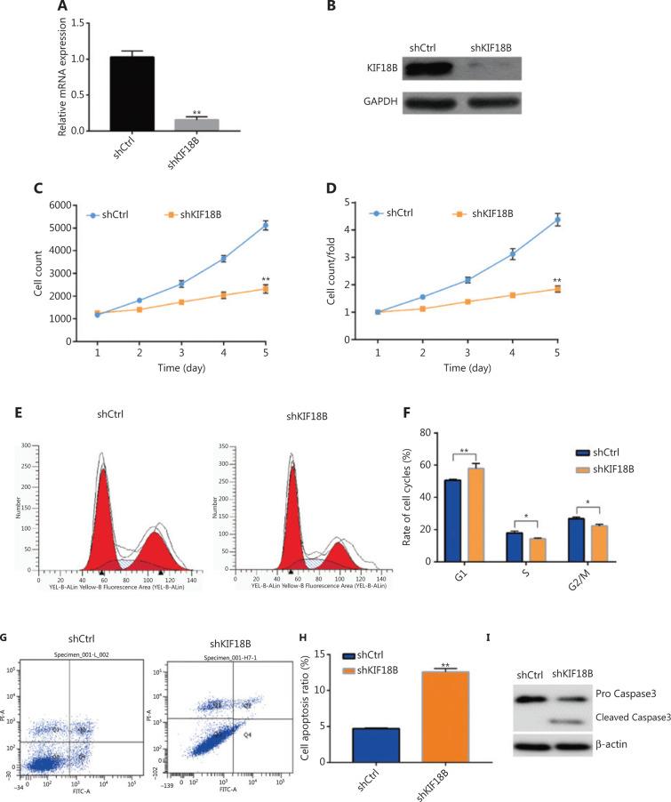 https://cdn.ncbi.nlm.nih.gov/pmc/blobs/7e4a/7309474/8f4973643342/cbm-17-371-g002.jpg