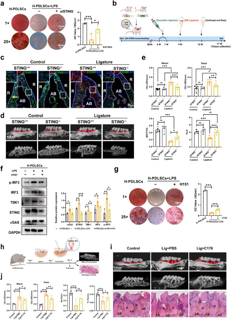 https://cdn.ncbi.nlm.nih.gov/pmc/blobs/7e4c/12038443/56e9f4b10809/gr3.jpg