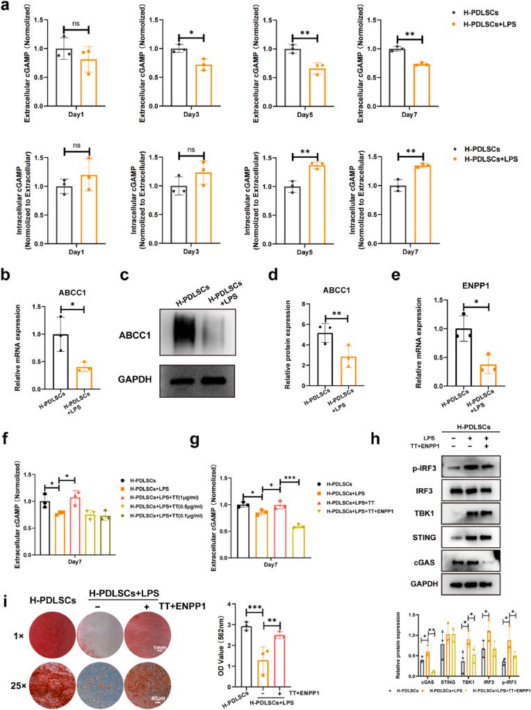 https://cdn.ncbi.nlm.nih.gov/pmc/blobs/7e4c/12038443/5f41ed8a885e/gr6.jpg
