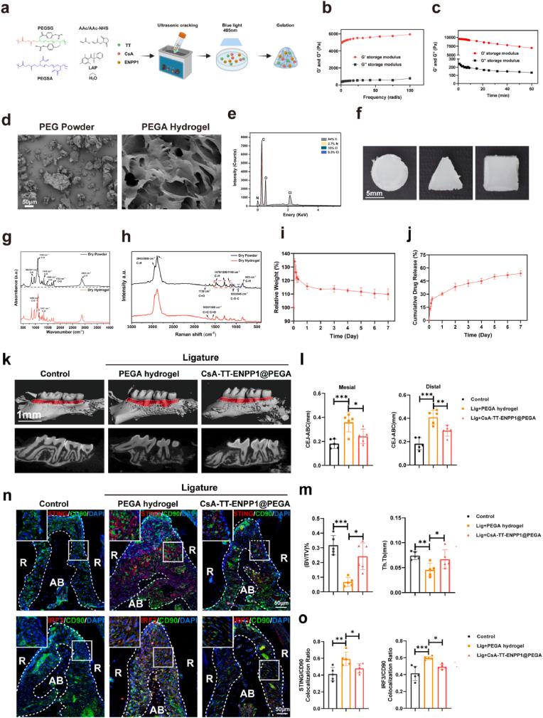 https://cdn.ncbi.nlm.nih.gov/pmc/blobs/7e4c/12038443/c5e087c62e19/gr7.jpg