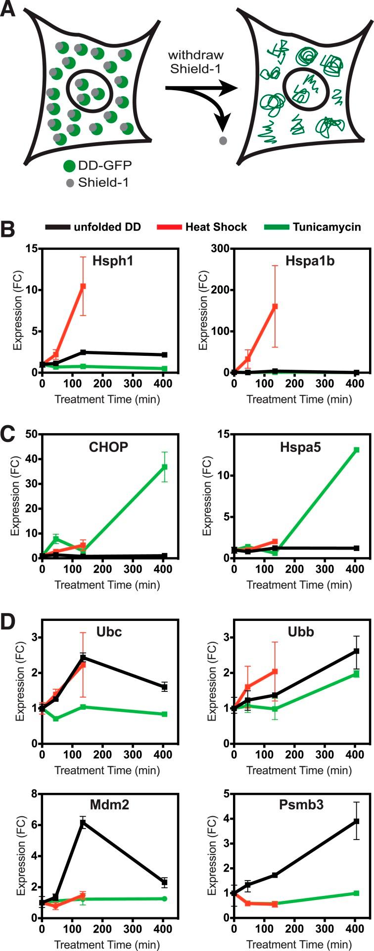 https://cdn.ncbi.nlm.nih.gov/pmc/blobs/7e4c/4566031/b01a49623827/elife07687f001.jpg