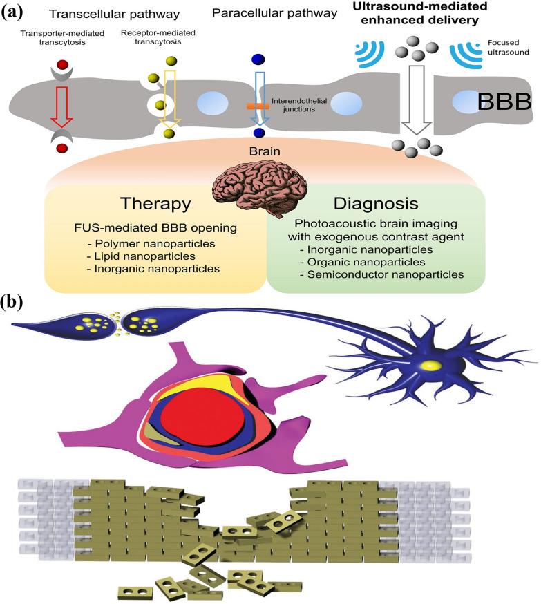 https://cdn.ncbi.nlm.nih.gov/pmc/blobs/7e4d/11881315/5ae8e20ba86d/12951_2025_3204_Fig4_HTML.jpg