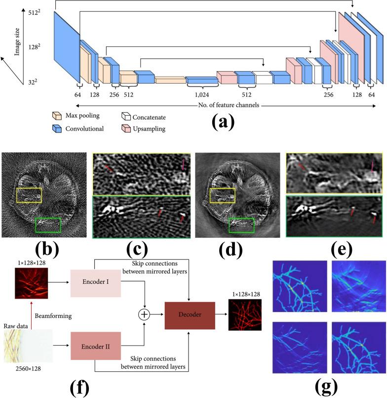 https://cdn.ncbi.nlm.nih.gov/pmc/blobs/7e4d/11881315/63385a0ef312/12951_2025_3204_Fig6_HTML.jpg