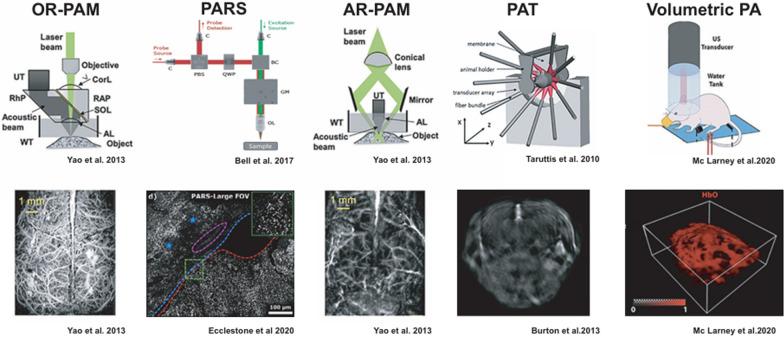 https://cdn.ncbi.nlm.nih.gov/pmc/blobs/7e4d/11881315/729a617e4f7c/12951_2025_3204_Fig5_HTML.jpg