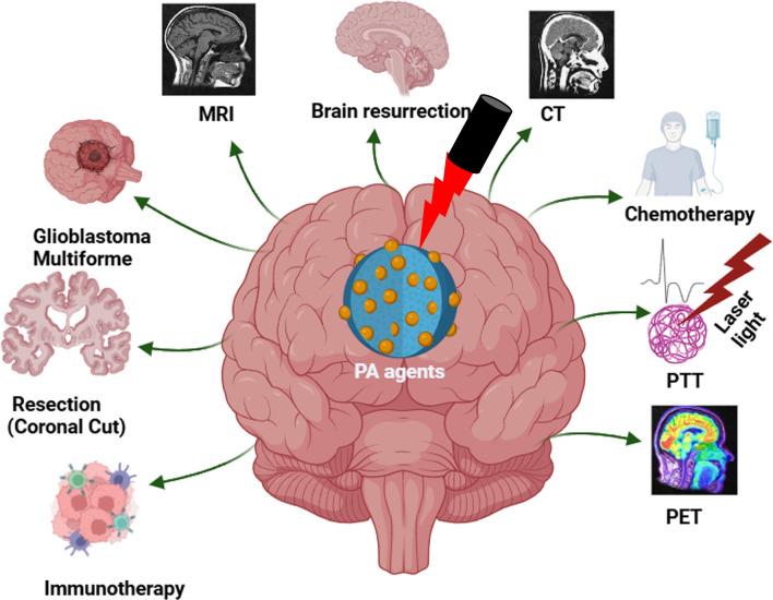 https://cdn.ncbi.nlm.nih.gov/pmc/blobs/7e4d/11881315/98ac54809fb6/12951_2025_3204_Fig3_HTML.jpg