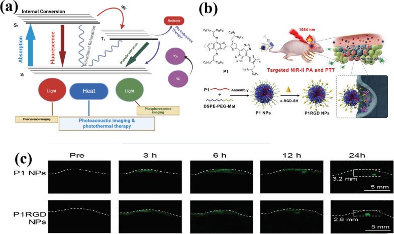 https://cdn.ncbi.nlm.nih.gov/pmc/blobs/7e4d/11881315/ddc9e56cb706/12951_2025_3204_Fig7_HTML.jpg
