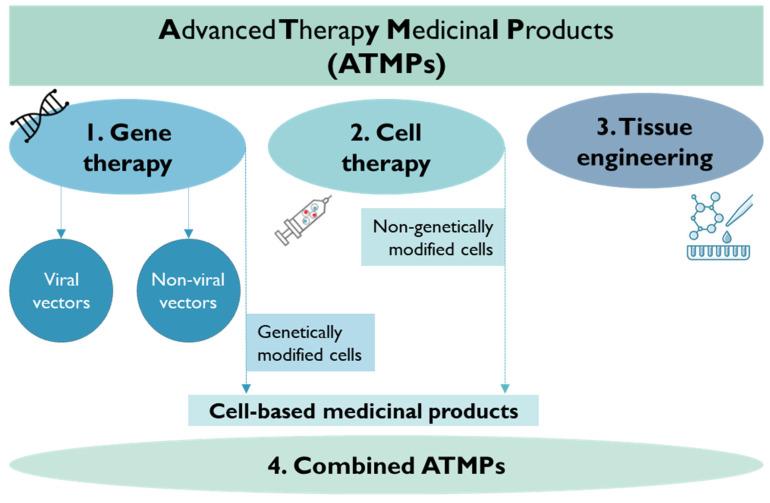 https://cdn.ncbi.nlm.nih.gov/pmc/blobs/7e50/10610377/7f119e1e16bc/pharmaceutics-15-02431-g011.jpg