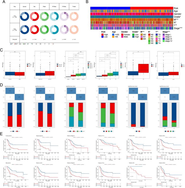 https://cdn.ncbi.nlm.nih.gov/pmc/blobs/7e53/11921678/77da3ecc4872/41065_2025_409_Fig3_HTML.jpg