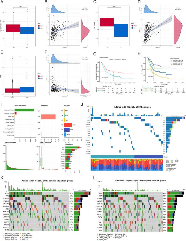 https://cdn.ncbi.nlm.nih.gov/pmc/blobs/7e53/11921678/ace47b89ee58/41065_2025_409_Fig7_HTML.jpg